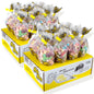 KOALA Kone Bag Sour (2 Displays of 12 )