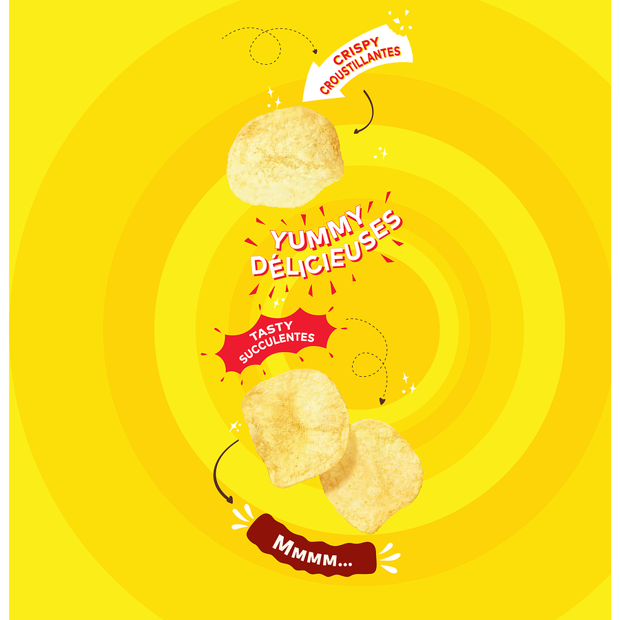 FRITO LAY - LAYS Classic Potato Chips (Bulk 515 gr)