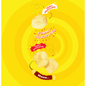 FRITO LAY - LAYS Classic Potato Chips (Bulk 515 gr)