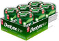 DENTYNE ICE Spearmint Gum Tubs (6 ct)