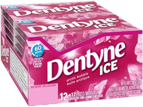 DENTYNE ICE Arctic Bubble Gum (12 ct)