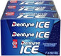 DENTYNE ICE Peppermint Gum (12 ct)