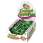 CHARMS - Caramel Apple Flat Pops  (48 ct)